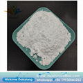 China sell API chemicals powder Chitosan CAS 9012-76-4 2