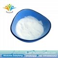 Azobisisobutyronitrile 99.5% AIBN Powder Initiator CAS 78-67-1 