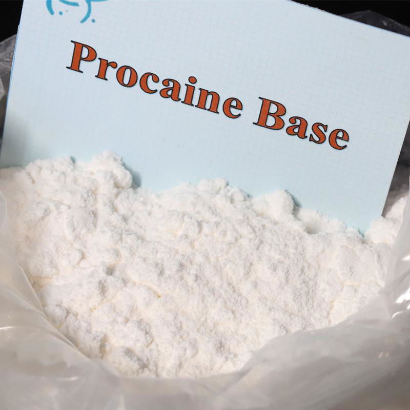 Anti-pain Pharmaceutical Chemical CAS 59-46-1 procaine base powder , procaine 