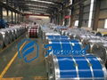 Mr Grade SPTE ETP Tinplate Sheet Coil for Canned Food