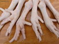 Quality Processed Frozen Chicken Feet 1