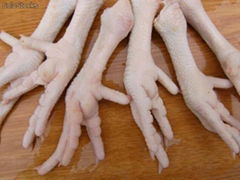 Quality Processed Frozen Chicken Feet