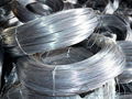 BWG22 Electro Galvanzied Iron Wire for