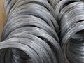 High Quality Factory Supply BWG21 Electro Galvanzied Iron Wire 1