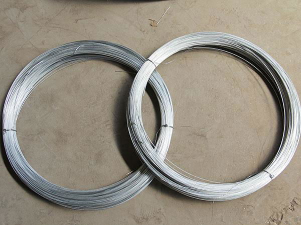 High Quality Factory Supply BWG21 Electro Galvanzied Iron Wire 2