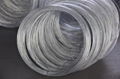 High Quality Zinc Plating Soft Electro Galvanized Iron Wire BWG20 1