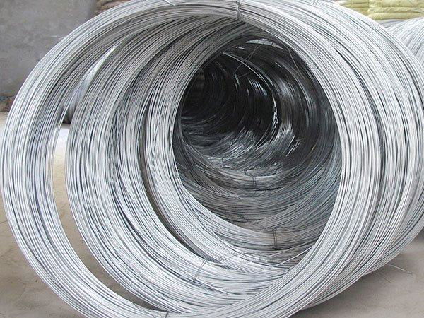 Electro Galvanized Iron Wire for Saudi Arabia Market 3