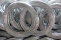 BWG 21 22 20 Binding Electro Galvanized Steel Iron Wire 1