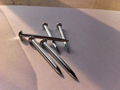 Polished Common Iron Nail 4