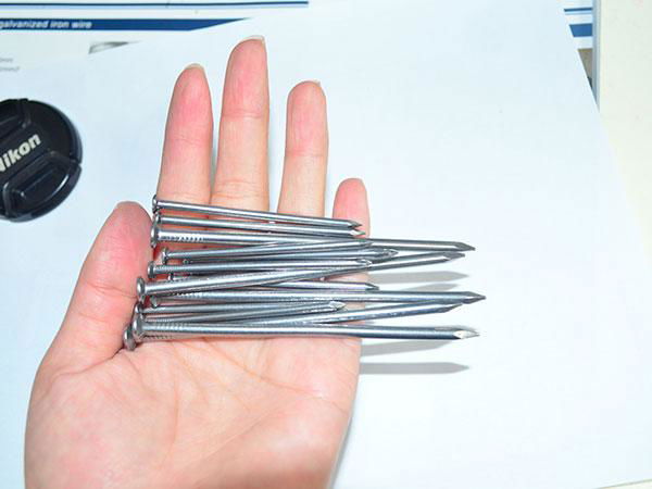 Concrete Steel Building Nails for Construction