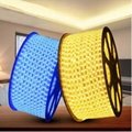 LED Light Strip Three Colors Changeable