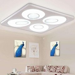 LED Modern Ceiling-Mounted Light JY-1001