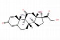 prednisone base