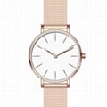 Minimalist Women Mesh Watch 1