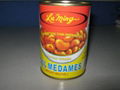 canned broad beans 1