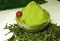  Natural green tea powder 4