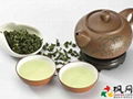 .High Mountain Oolong Tea 1