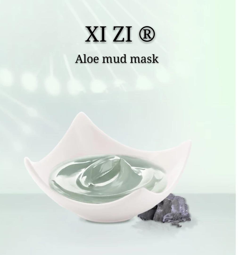 Aloe Mud Mask