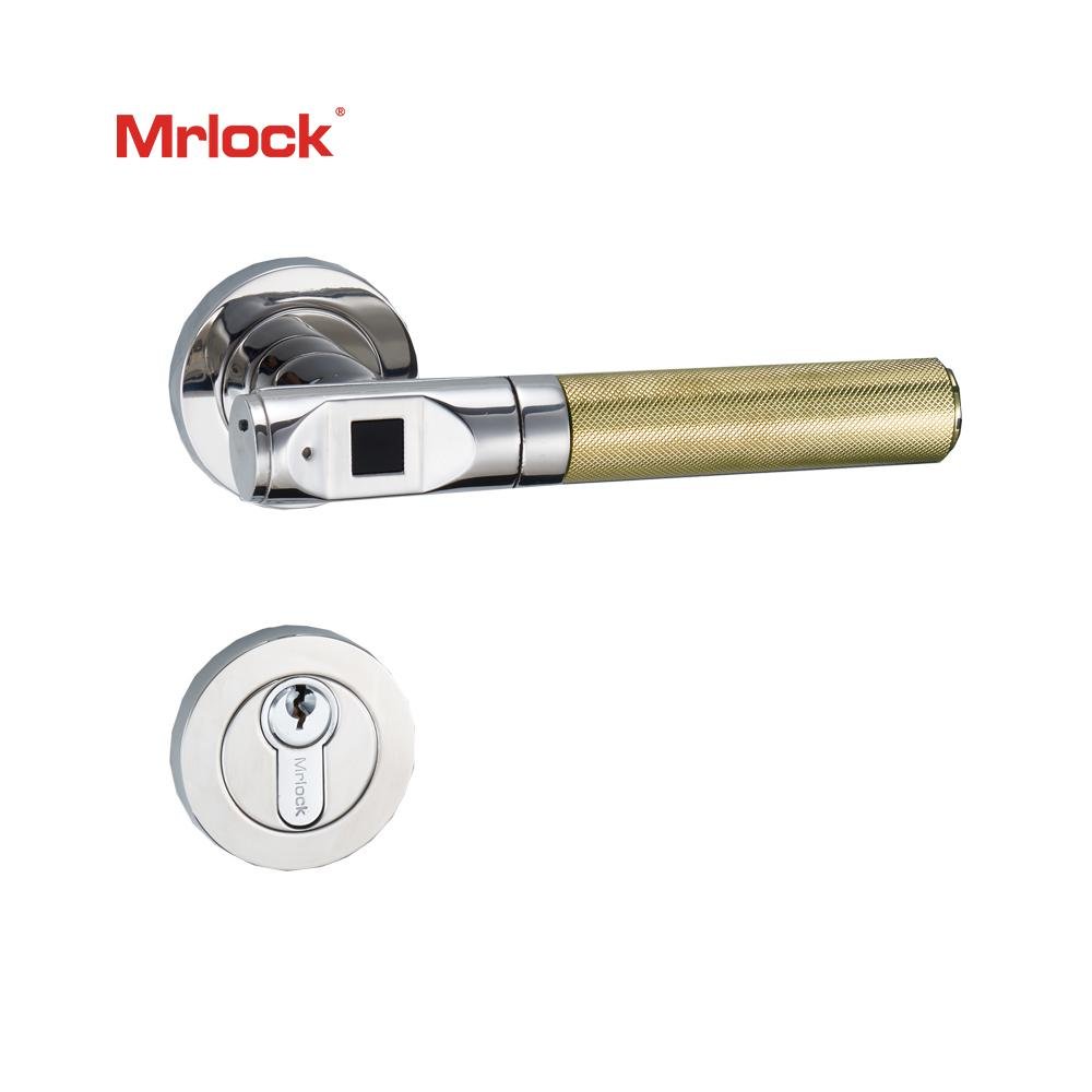 Mrlock Biometric Fingerprint Door Lock Electronic Keyless Door Lock handle