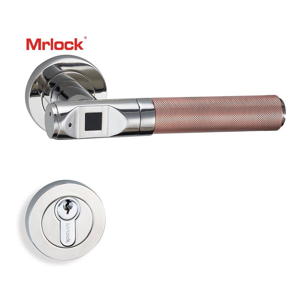 Mrlock Biometric Fingerprint Door Lock Electronic Keyless Door Lock handle 5