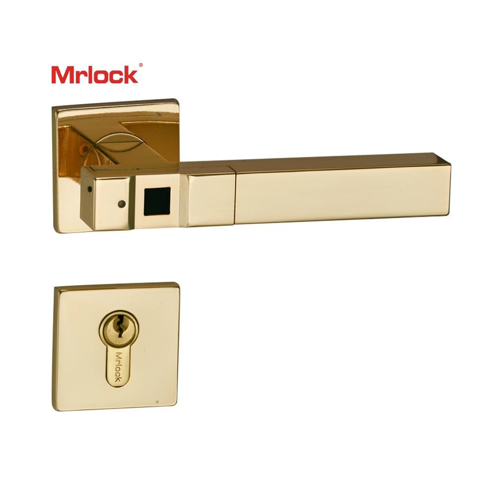 Mrlock Smart Biometric Security Key Fingerprint Home Door Lock Lever handle