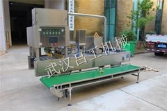 Automatic filling and sealing machine for cupped coffee powder
