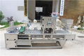 Automatic filling and sealing machine