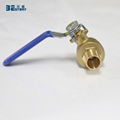 Welcome OEM ODM food grade 1 inch PEX barb ball valve