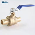 Welcome OEM ODM food grade 1 inch PEX barb ball valve 2