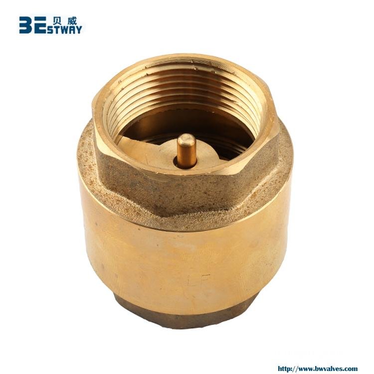Female Brass Spring Loaded Check Valve with brass Core