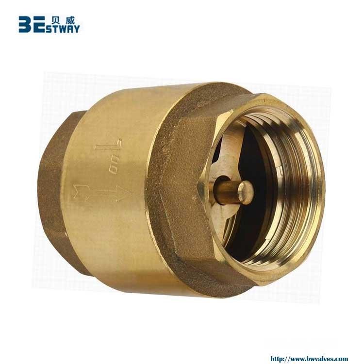 Female Brass Spring Loaded Check Valve with brass Core 2