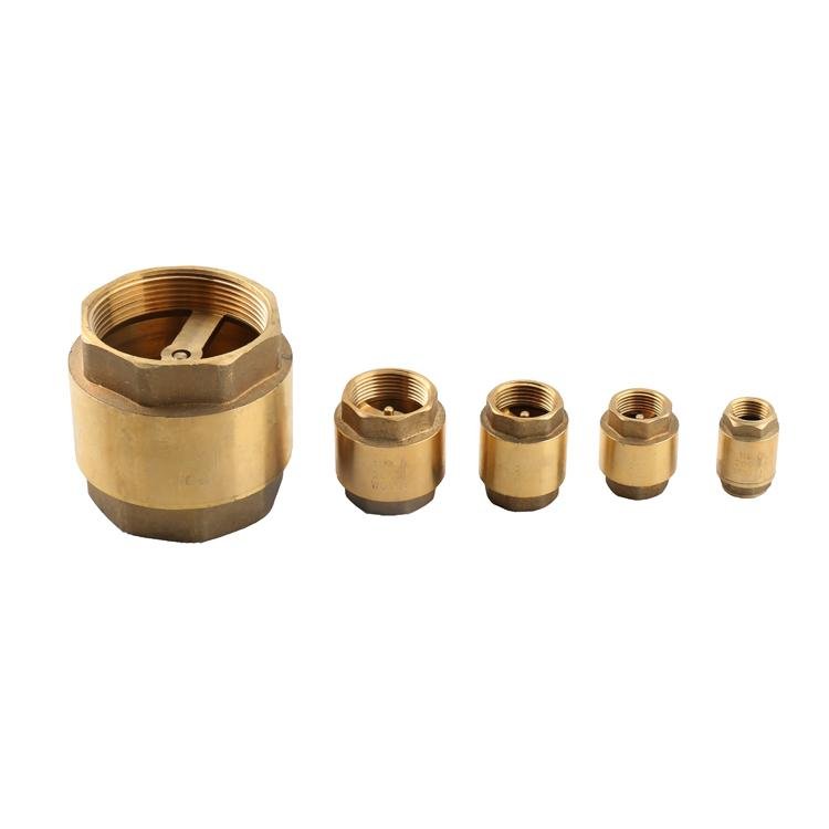 Female Brass Spring Loaded Check Valve with brass Core 4