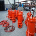   All CAST (high temperature resistant) stainless steel submersible sewage pump 4