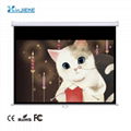 Manual Projection Screen