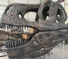 Man-made dinosaur fossil skeleton model