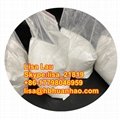 CAS 30123-17-2 Powder Tianeptine sodium salt (86-17798046959) 4