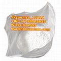 CAS 30123-17-2 Powder Tianeptine sodium salt (86-17798046959) 5