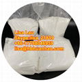 Supply CAS 532-24-1 powder Tropinone 99%