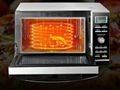 Large flat plate microwave oven 2