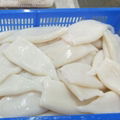 Frozen Seafood Cleaned Squid Tube 1