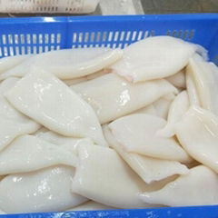 Frozen Seafood Cleaned Squid Tube