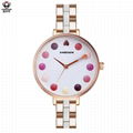 XINBOQIN Factory Custom Brand Luxury High Quality Quartz Acetate Lady Watch 5