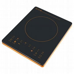 Induction cooker