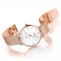 Amy Rarone luxury ladies quartz watch