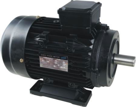 electric motor