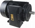 electric motor 4