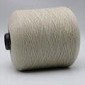 Ne21/2ply 10% stainless steel staple fiber blended with 90% PL fiber-XT11030 4