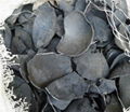 Coconut Shell Charcoal