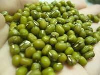  BEST QUALITY MUNG BEANS FOR SELL