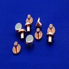 Electrical Contact Rivet